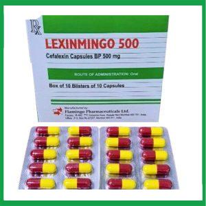 Lexinmingo 500 - Thuốc điều trị các trường hợp nhiễm khuẩn