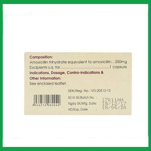 Nhà Thuốc Thanh Vinh - Thuốc Amoxicillin 250mg Mekophar điều trị nhiễm khuẩn (10 vỉ x 10 viên) 1 Nhà Thuốc Thanh Vinh - Amoxicillin 250mg Mekophar 2
