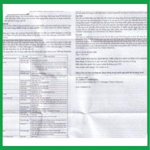 Nhà Thuốc Thanh Vinh - Brufen 5