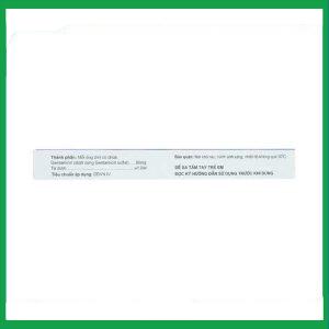 Nhà Thuốc Thanh Vinh - Dung dịch tiêm Gentamicin 80mg HDPharma điều trị nhiễm khuẩn nặng (10 ống x 2ml) 3 Nhà Thuốc Thanh Vinh - Gentamicin 1 1