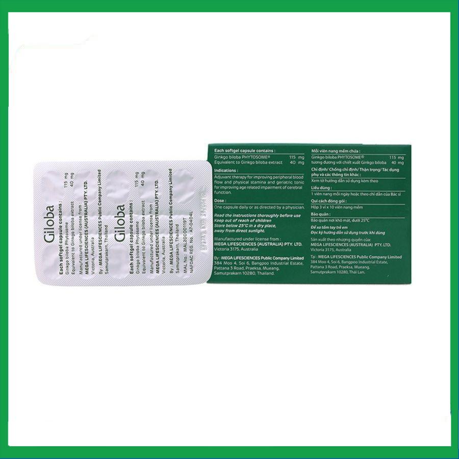 Giloba-1.jpg Nhà Thuốc Thanh Vinh - Giloba 1