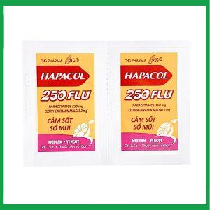 Nhà Thuốc Thanh Vinh - Hapacol 250 Flu 1