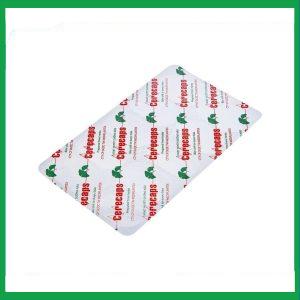 Nhà Thuốc Thanh Vinh - Hoat huyet duong nao Cerecaps2