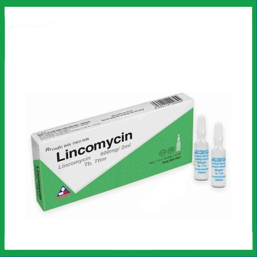 Lincomycin.jpg Nhà Thuốc Thanh Vinh - Lincomycin