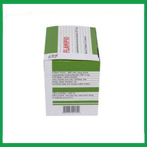 Nhà Thuốc Thanh Vinh - Thuốc Flamipio 2mg (Loperamide 2mg) điều trị tiêu chảy (10 vỉ x 10 viên) 2 Nhà Thuốc Thanh Vinh - Loperamide Flamipio 2