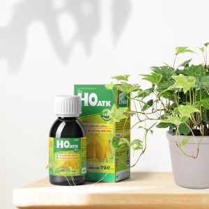 Nhà Thuốc Thanh Vinh - Siro Ho ATK - hỗ trợ giảm đau rát họng, hỗ trợ bổ phế, giảm đờm, giảm ho 4 Nhà Thuốc Thanh Vinh - Mockup HO copy