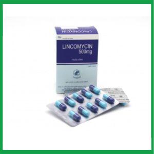 Thuốc kháng sinh Lincomycin 500mg Pharbaco điều trị nhiễm khuẩn ( Hộp 10 vỉ x 10 viên)