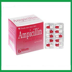 Thuốc Ampicillin Capsules BP 500mg Brawn điều trị nhiễm khuẩn (10 vỉ x 10 viên)