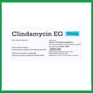 Nhà Thuốc Thanh Vinh - Thuốc Clindamycin EG 300mg Pymepharco điều trị các bệnh nhiễm khuẩn (10 vỉ x 10 viên) 2 Nhà Thuốc Thanh Vinh - Smart pharma 72 1