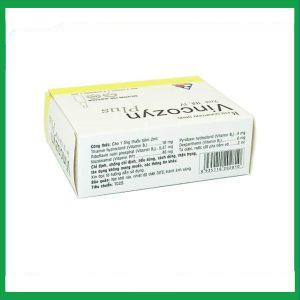 Nhà Thuốc Thanh Vinh - Dung dịch Vincozyn Plus Vinphaco phòng ngừa và điều trị các bệnh thiếu Vitamin B (2 vỉ x 5 ống x 2ml) 3 Nhà Thuốc Thanh Vinh - Thiet ke chua co ten 27