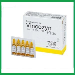 Nhà Thuốc Thanh Vinh - Dung dịch Vincozyn Plus Vinphaco phòng ngừa và điều trị các bệnh thiếu Vitamin B (2 vỉ x 5 ống x 2ml) 1 Nhà Thuốc Thanh Vinh - Thiet ke chua co ten 29