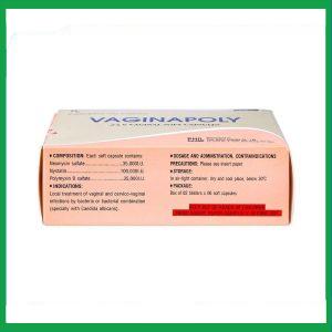 Nhà Thuốc Thanh Vinh - Viên đặt phụ khoa Vaginapoly điều trị nhiễm trùng ở âm đạo (2 vỉ x 6 viên) 1 Nhà Thuốc Thanh Vinh - Vaginapoly 2