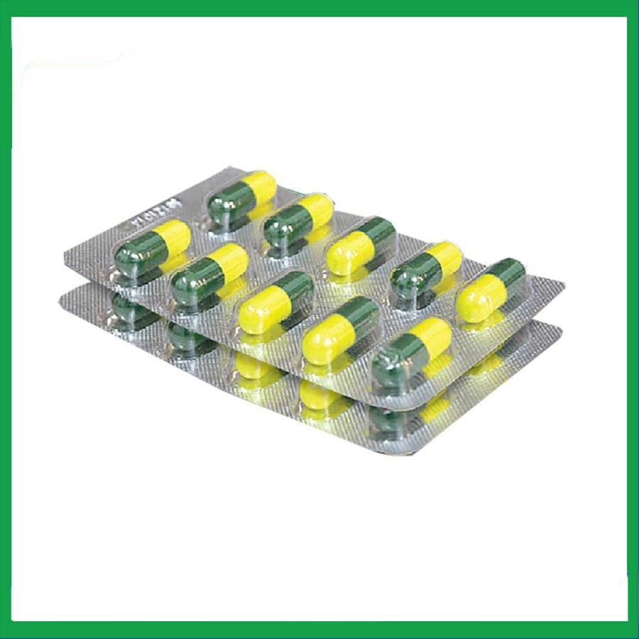 Vien-cam-cum-Mau-don-3.jpg Nhà Thuốc Thanh Vinh - Vien cam cum Mau don 3