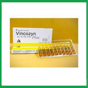 Nhà Thuốc Thanh Vinh - Dung dịch Vincozyn Plus Vinphaco phòng ngừa và điều trị các bệnh thiếu Vitamin B (Hộp 1 vỉ x 10 ống x 2ml ) 2 Nhà Thuốc Thanh Vinh - Vincozyn plus 1vi x10 ong 1