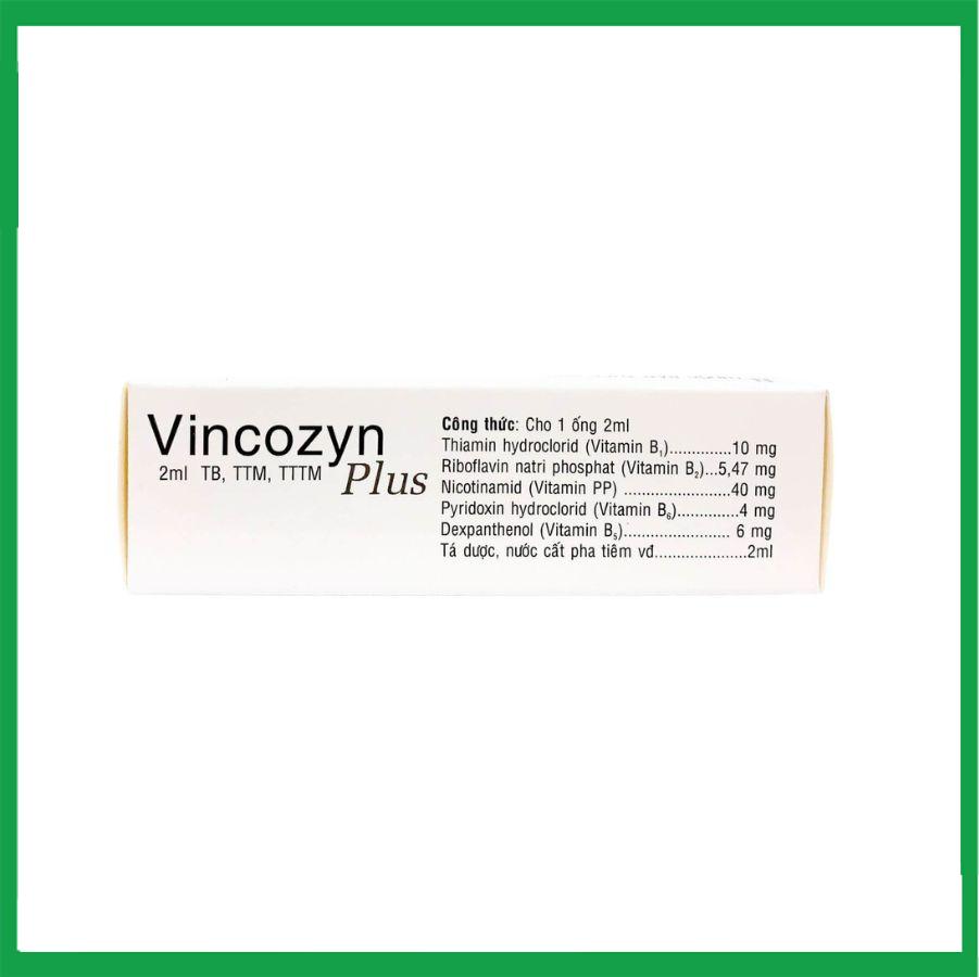 Vincozyn-plus-1vi-x10-ong-2.jpg Nhà Thuốc Thanh Vinh - Vincozyn plus 1vi x10 ong 2