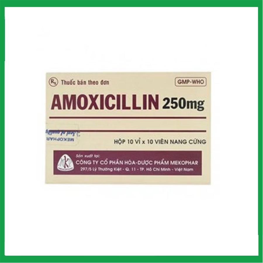 amoxicillin-1.jpg Nhà Thuốc Thanh Vinh - amoxicillin 1