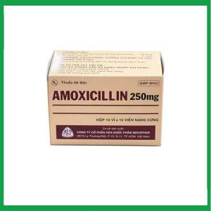 Nhà Thuốc Thanh Vinh - Amoxicilin 250mg Mekophar (10 vỉ x 10 viên) 2 Nhà Thuốc Thanh Vinh - amoxicillin. 2 1
