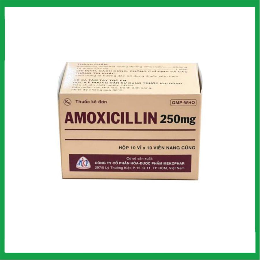 amoxicillin.-2-1.jpg Nhà Thuốc Thanh Vinh - amoxicillin. 2 1