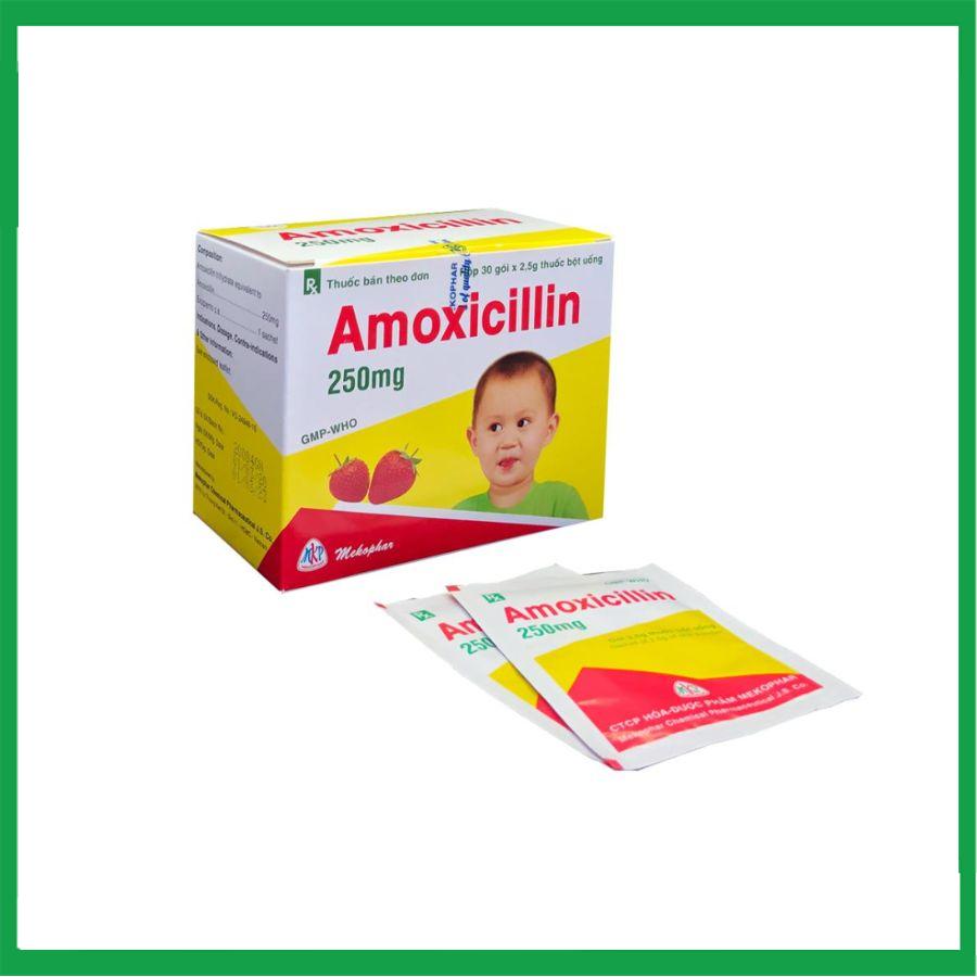 amoxicillin.-2.jpg Nhà Thuốc Thanh Vinh - amoxicillin. 2