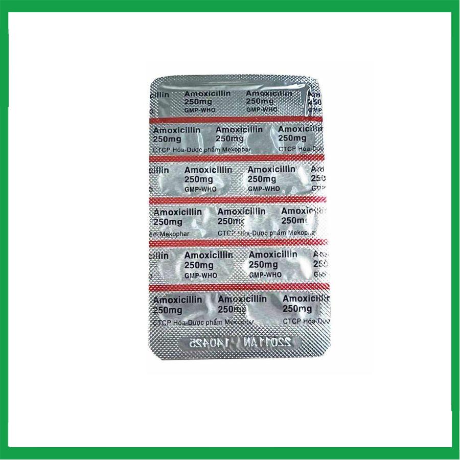 amoxicillin.1-1.jpg Nhà Thuốc Thanh Vinh - amoxicillin.1 1