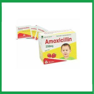 Nhà Thuốc Thanh Vinh - amoxicillin.1
