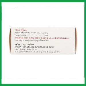 Nhà Thuốc Thanh Vinh - Thuốc Vitamin B6 250mg Mekophar điều trị thiếu hụt Vitamin B6 (10 vỉ x 10 viên) 2 Nhà Thuốc Thanh Vinh - fb 2 2024 07 08T160710.256