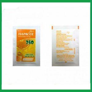 Nhà Thuốc Thanh Vinh - hapacol 250mg 4