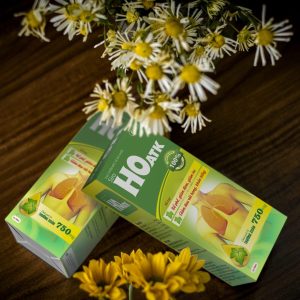 Nhà Thuốc Thanh Vinh - sam cau scaled copy