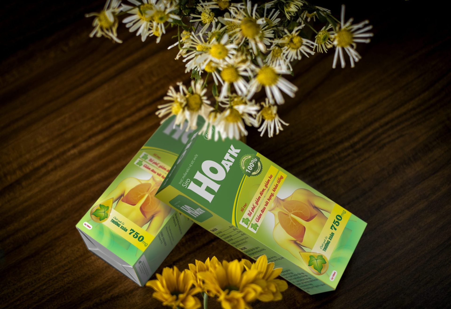 sam-cau-scaled-copy.jpg Nhà Thuốc Thanh Vinh - sam cau scaled copy