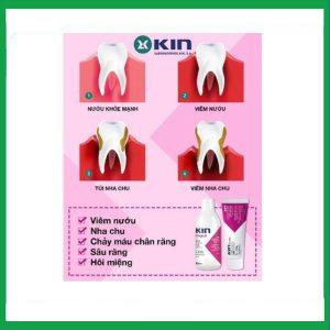 Nhà Thuốc Thanh Vinh - Dung dịch súc miệng Kin Gingival ngăn ngừa mảng bám, viêm nướu, sâu răng (250ml) 1 Nhà Thuốc Thanh Vinh - sm KIn 1